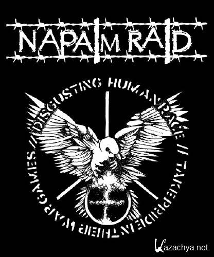 Napalm Raid - Mindless Nation (2012)