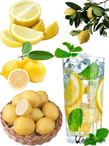 ��������: ���������� ������ - �����