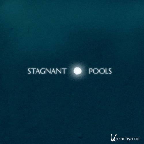 Stagnant Pools - Temporary Room (2012)