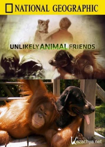   / National Geographic. Unlikely Animal Friends (2009) HDTVRip