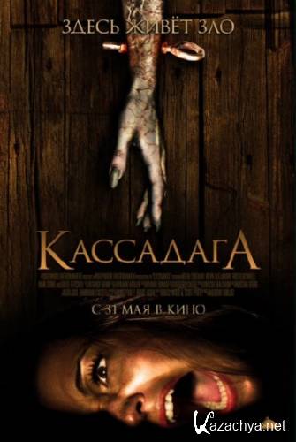  / Cassadaga (2011/DVDRip)