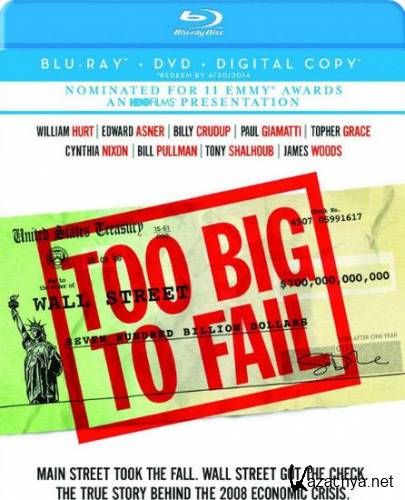     / Too Big to Fail (2011/HDRip)