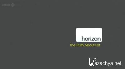     / Horizon: The Truth about Fat (2012) PDTVRip