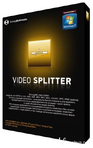 SolveigMM Video Splitter 3.2.1207.3 Final Portable