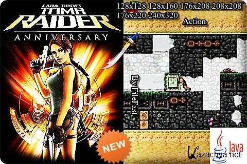 Tomb Raider: Anniversary /  : 