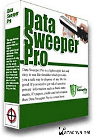 Data Sweeper PRO 3.0.0 (ENG) 2012 Portable