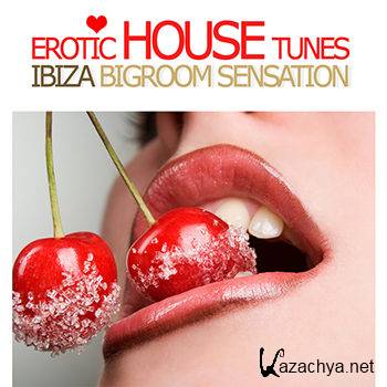 Erotic House Tunes Vol 1: Ibiza Bigroom Sensation (2012)