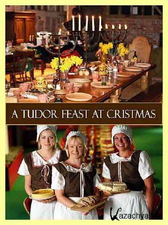 BBC:     / A Tudor Feast at Christmas (2008) SATRip 