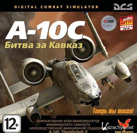 Digital Combat Simulator: A-10C -    (PC/RUS/2011)