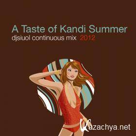 VA - A Taste of Kandi Summer djsiuol continuous mix 2012(2012).MP3
