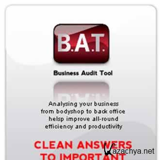 Business Audit Tool (B.A.T.) DuPont (2009)