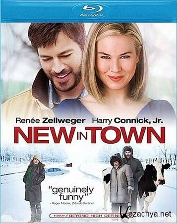    / New in Town (2009) BDRip  HQ-VIDEO