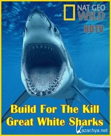  :    / Build For The Kill: Great White Sharks (2011) HDTVRip 1080i