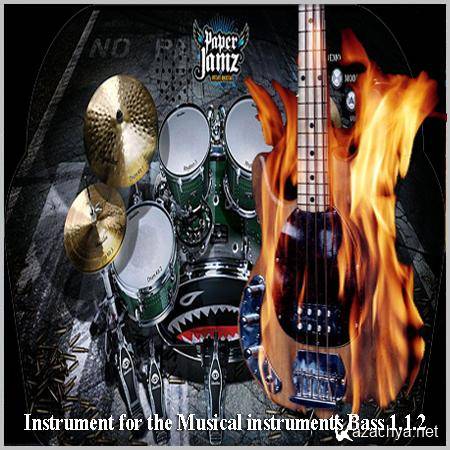 Instrument for the Musical instruments Bass 1.1.2