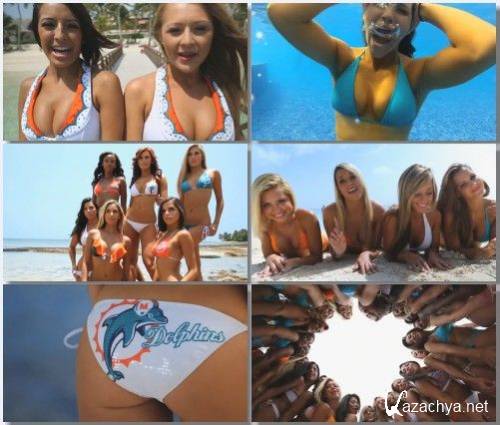 Miami Dolphins - Call Me Maybe (2012)