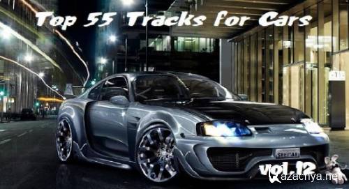 VA - Top 55 Tracks for Cars Vol.12 (2012) MP3