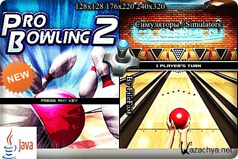 Pro Bowling 2 /  2