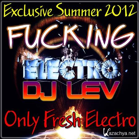 DJ LEV - FUCKING ELECTRO (SUMMER 2012)