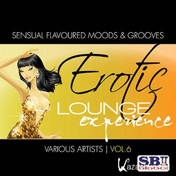 Erotic Lounge Experience Vol 6 (2012)