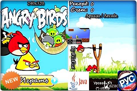 Angry Birds Season /   