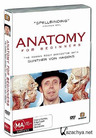    () / Anatomy for Beginners (Digestion) (2005) DVDRip