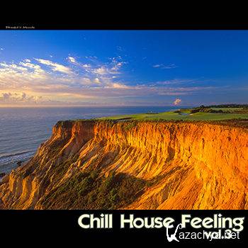 Chill House Feeling Vol 3 (2012)