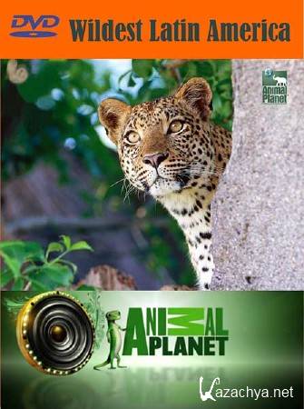 Animal Planet:     / Wildest Latin America (2012) SATRip 