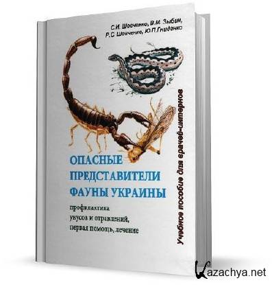 ������� ������������� ����� �������. ������������ ������ � ����������, ������ ������, �������