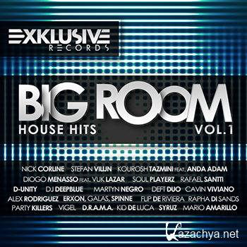 Big Room House Hits Vol 1 (2012)