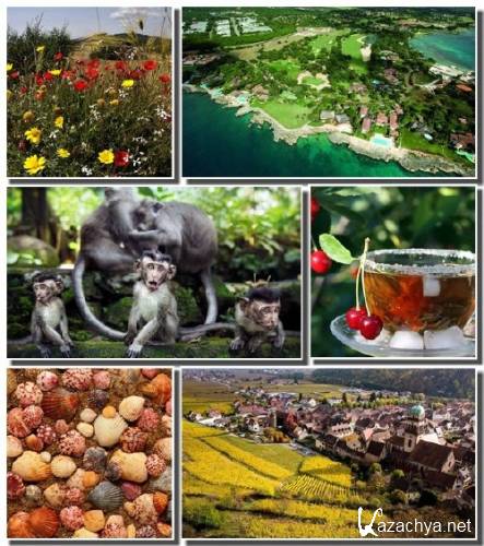 ����� �������� ���� ��� �������� (����� 11)