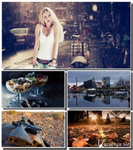 ������� ���� ����� ��������� ������ (����� 14)