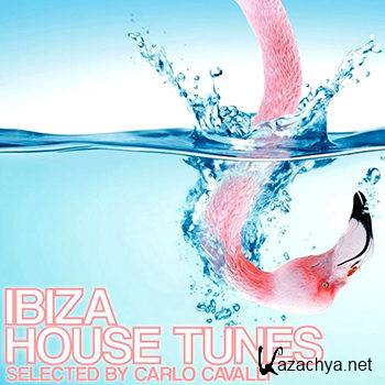 Ibiza House Tunes: Selected By Carlo Cavalli (2012)