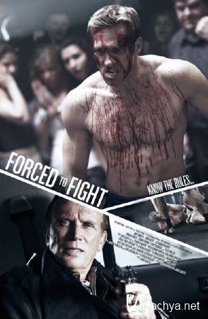   / Forced to Fight (2011) SATRip