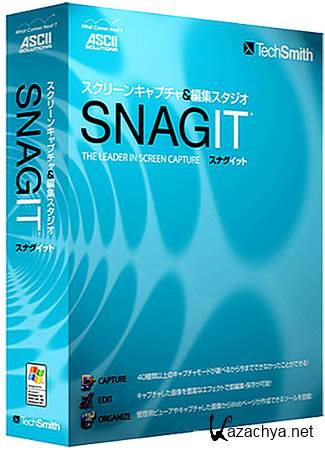 Techsmith Snagit v11.0.1 Build 93 Final + Portable Rus (2012) 