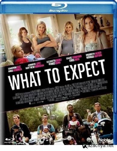  ,    / What to Expect When You're Expecting (2012) [] BDRip