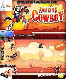 Amazing Cowboy /  