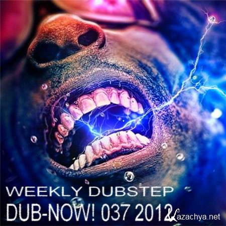 VA - Dub-Now! Weekly Dubstep 037 (2012)