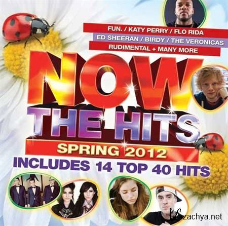 Now: The Hits Of Spring (2012)