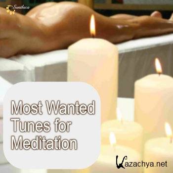 Most Wanted Tunes for Meditation (2012)