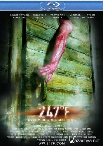 247    / 247F (2011/HDRip)