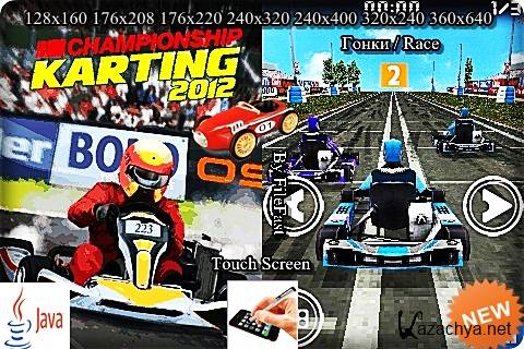 Championship Karting 2012 3D /    2012 3D
