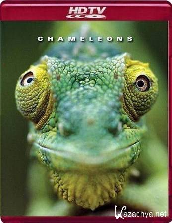   / Chameleons of the world (2011) HDTVRip 1080p