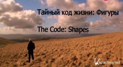   :  / The Code: Shapes (2012) SATRip-AVC