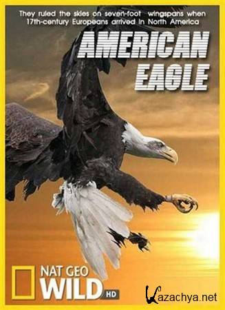 National Geographic:   / National Geographic: American Eagle (2009) HDTV 1080i