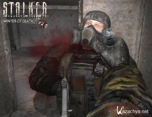 STALKER:   v.2.0 / STALKER: Winter of Death Version 2.0 (2011/RUS)