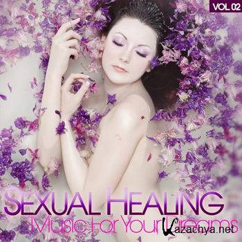 Sexual Healing Vol 2 (Music For Your Dreams) (2012)