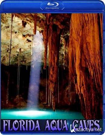     / Florida's Aqua Caves (2000) HDTV 1080i