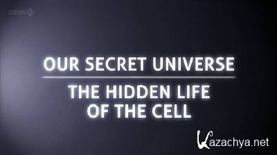  :    / Secret Universe: The Hidden Life of the Cell (2012) HDTVRip