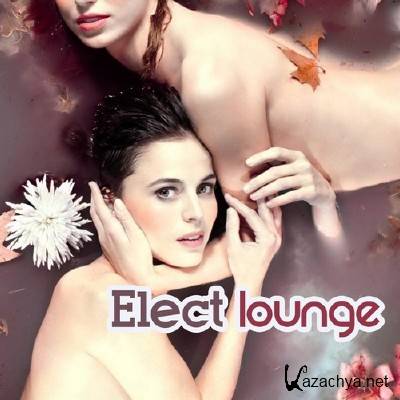 Elect Lounge (2012)