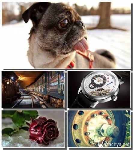 ����� ���������� � ������������ ����� (����� 11)